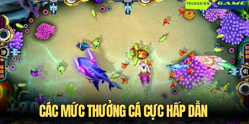 Các mức thưởng cá cực hấp dẫn