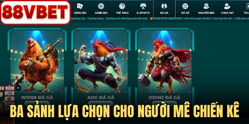 Ba sảnh riêng mở rộng lựa chọn cho người mê chiến kê