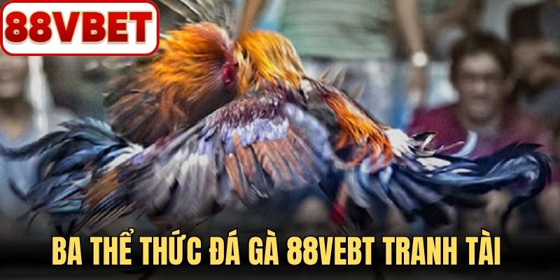 Ba thể thức đá gà 88VBET tranh tài hoàn toàn khác