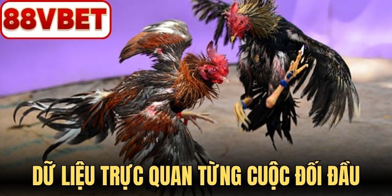 Dữ liệu trực quan giúp từng cuộc đối đầu thêm cuốn hút