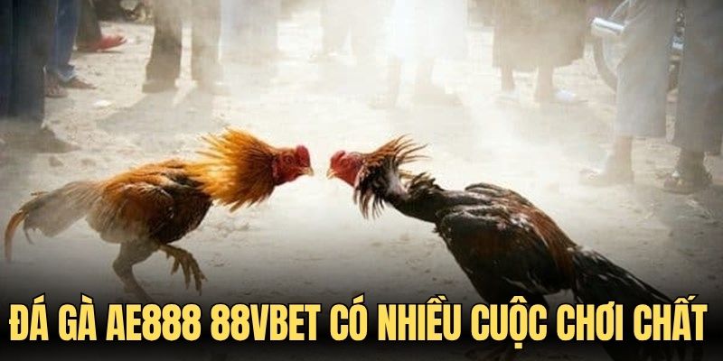 Đá gà AE888 88VBET có nhiều cuộc chơi chất