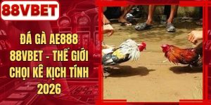 Đá Gà AE888 88VBET - Thế Giới Chọi Kê Kịch Tính 2026