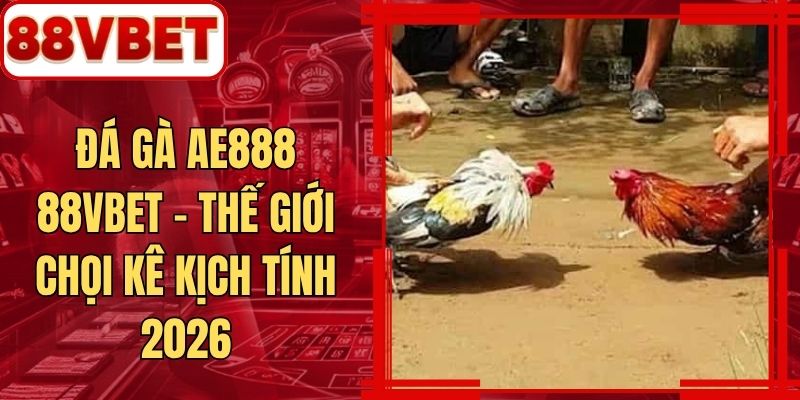 Đá Gà AE888 88VBET - Thế Giới Chọi Kê Kịch Tính 2026
